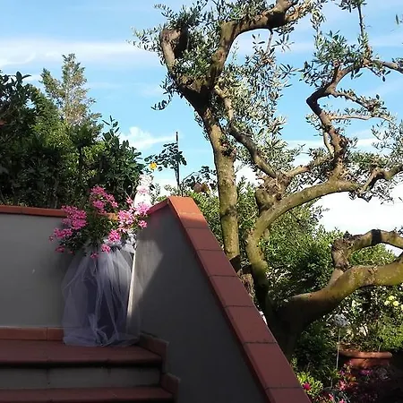Bed & Breakfast La Luna